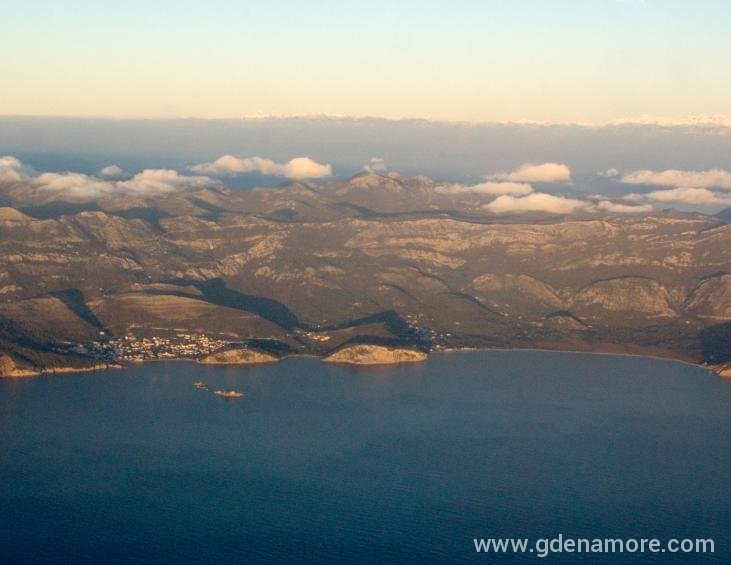BULJARICA LUCICE PETROVAC